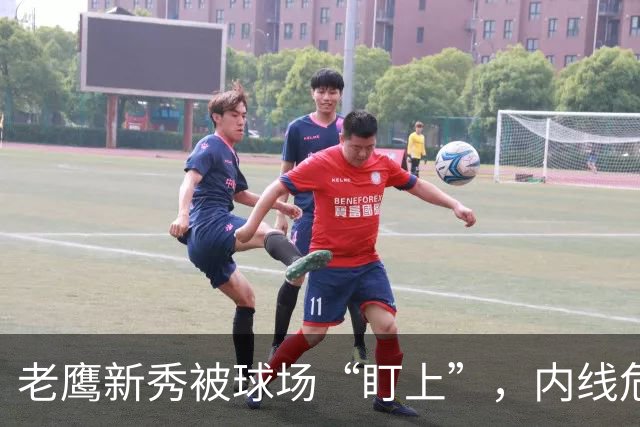 老鹰新秀被球场“盯上”，内线危机来袭！